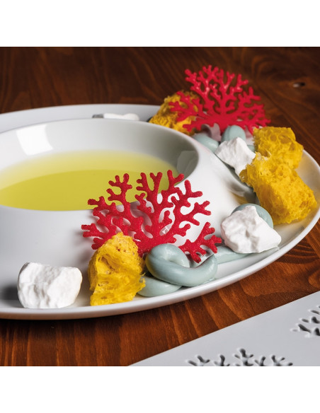 MOLDE GG027 CORAL GOURMAND 300X175Gourmand