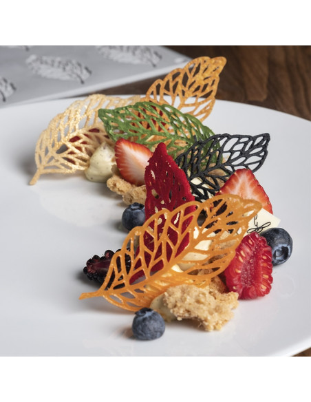 MOLDE GG028 PLUMA GOURMAND 300X175Gourmand