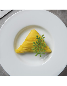 MOLDE GG030 BONSAI GOURMAND 300X175Gourmand