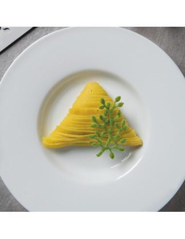 MOLDE GG030 BONSAI GOURMAND 300X175Gourmand