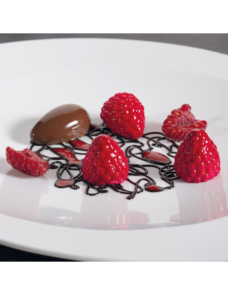 MOLDE GG017 FRAMBUESA GOURMAND 300X175Gourmand
