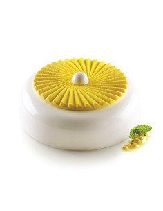 MOLDE PLISSÉ 100 D. 140 x 10mm 2c 100mlSilicona Mini-Micro