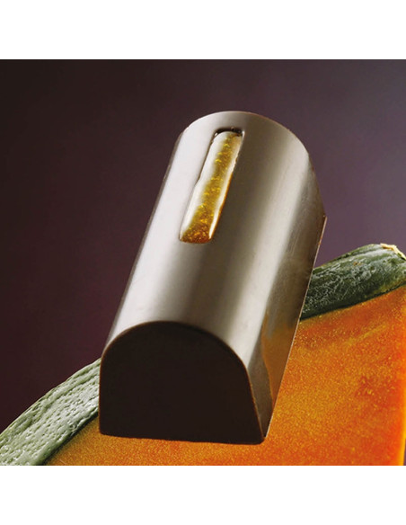 MOLDE CW2426 BUCHE LIJNTJE ERNST KNAMChocolate World