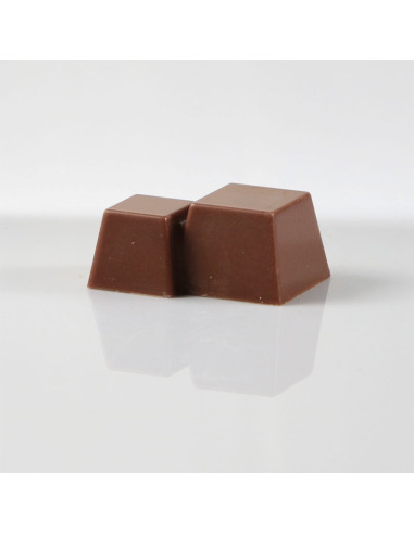 MOLDE MA4011 DOUBLE CUBESVarios MOLDE MA4011 DOUBLE CUBESVarios