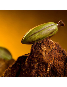 MOLDE CW1498 HABA CACAO 58X21X9mm 16pChocolate World 2