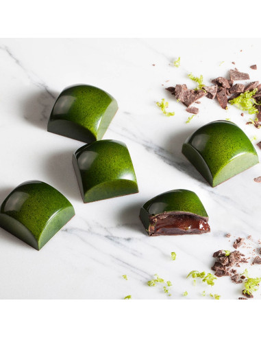 MOLDE CW1865 ALEXANDRE BOURDEAUX 25,5x25,5x15 24cMasters