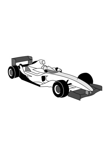 M. PVC COCHE CARRERAS (2m)Terrestre