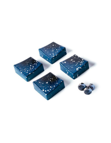 Molde Silikomart Tritan Onda-P 24 cavidades-1