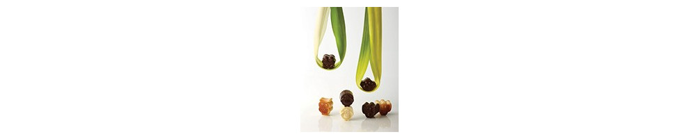 Comprar Colección Animaletti 275x135 para pastelería panadería chocolatería